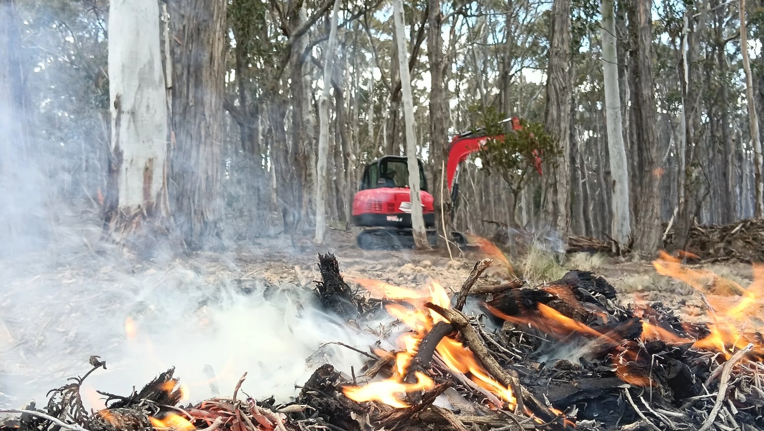 Controlled fire-preparation work with an excavator on a bush property