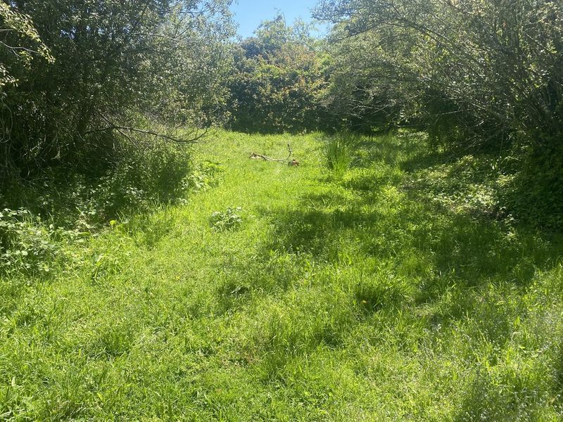 Before view of property work pair 3 in Hepburn Shire