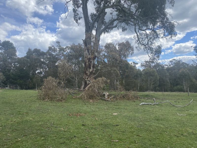 Before view of property work pair 4 in Hepburn Shire