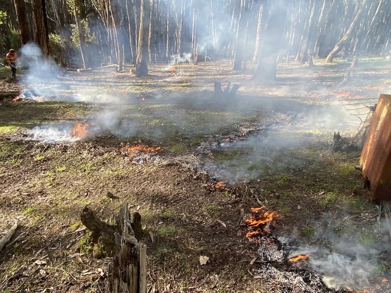 Controlled Burnoffs project 5 in Hepburn Shire