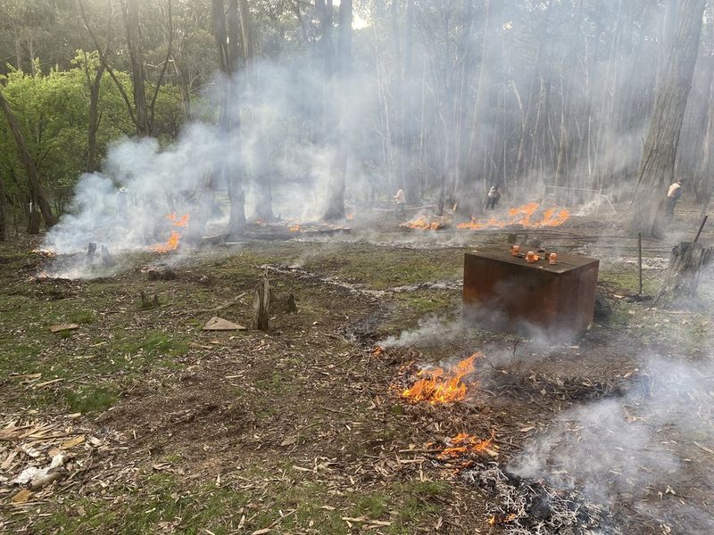 Controlled Burnoffs project 7 in Hepburn Shire