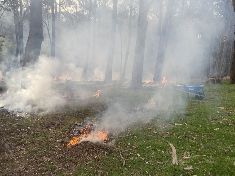 Controlled Burnoffs project 8 in Hepburn Shire