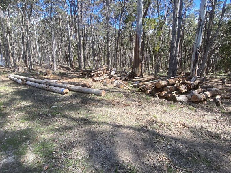 Log Collection & Stacking project 4 in Hepburn Shire