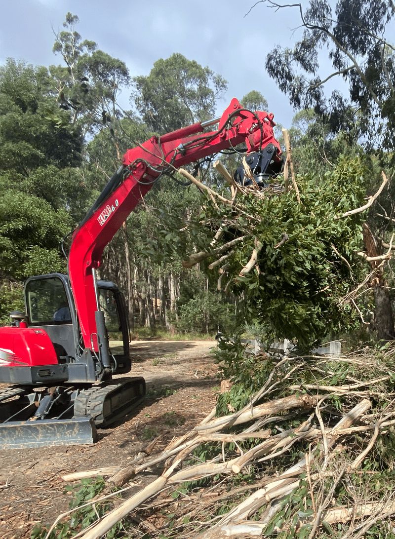 Undergrowth & Fuel Load Clearing project 3 in Hepburn Shire